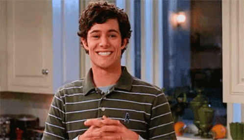 Adam Brody Seth Cohen GIF
