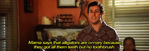 Adam Sandler Says That Alligators Are Ornery Because They Got All Their Teeth GIF