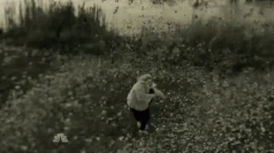 Adele Hello Walking To Windy Field GIF