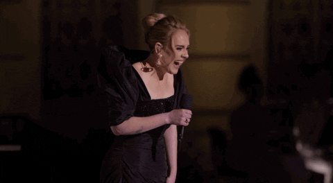 Adele Surprised The Couple In Her Audience GIF