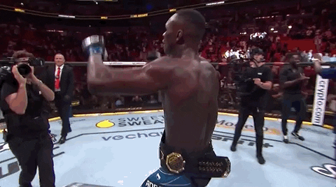Adesanya 480 X 268 Gif GIF