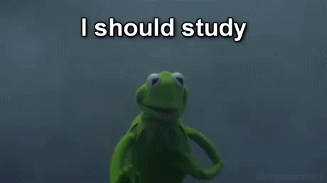 Adhd Make Memes Study Later GIF