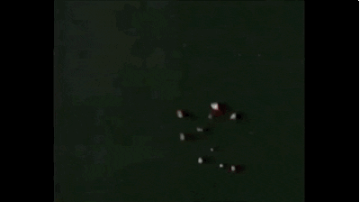 Adidas Run Logo Ad GIF