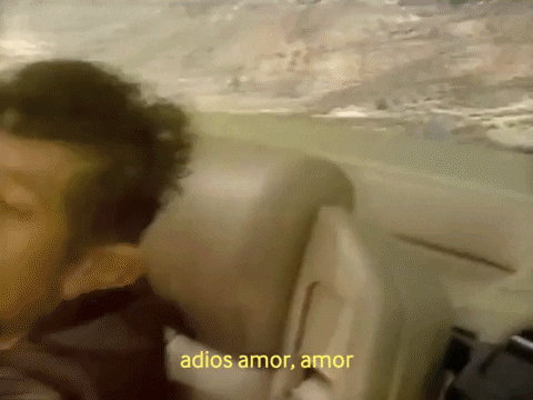 Adios Amor Driving Car Singing GIF