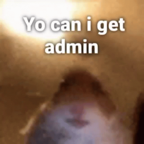 Administrative Professionals Day Hamster Under Ceiling Fan GIF