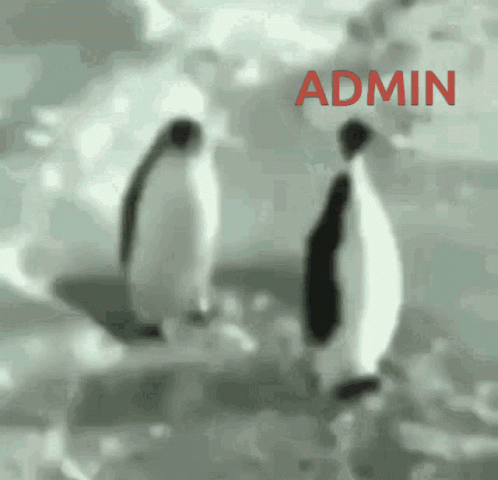 Administrative Professionals Day Penguin Slapping Another Penguin GIF