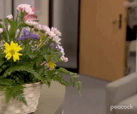 Administrative Professionals Day Woman Happy To See Flower GIF