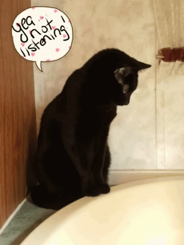 Adorable Black Cat Not Listening GIF