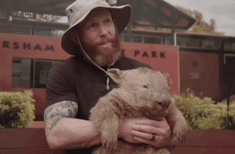 Adorable Capybara Furdad Big Smile GIF