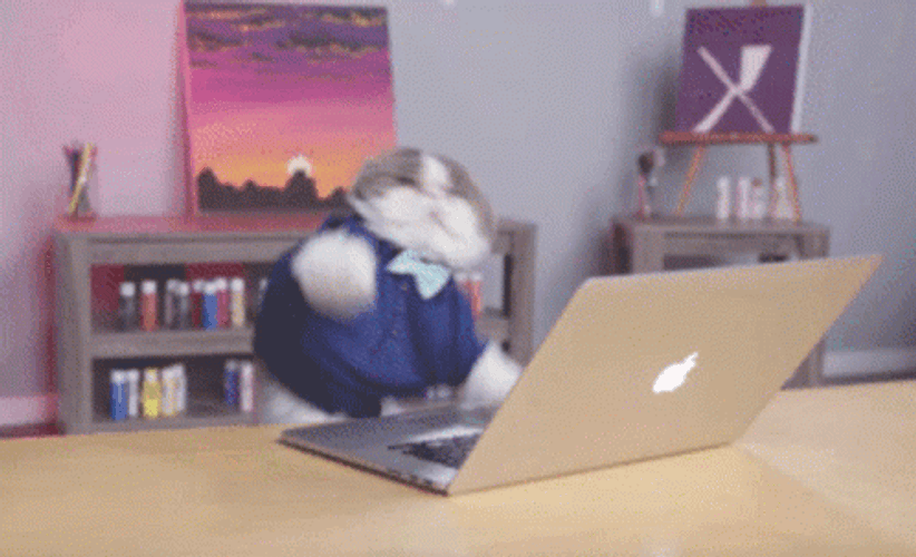 Adorable Cat Dancing Typing Fast GIF