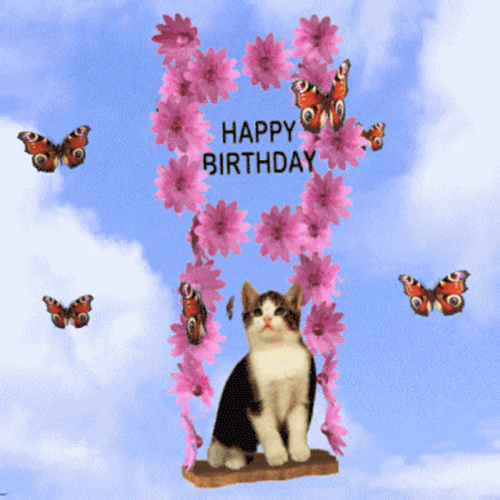 Adorable Cat Happy Birthday Swing GIF