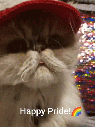Adorable Cat Happy Pride Month GIF