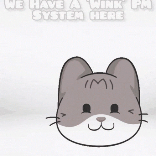 Adorable Cat Winking System GIF