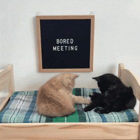 Adorable Cats Funny Playing Bed GIF