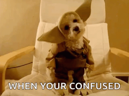 Adorable Confused Dog In Costume GIF