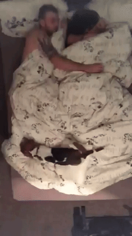 Adorable Couple Bed Time Lapse GIF