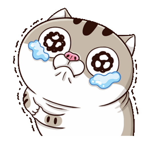 Adorable Crying Fat Cat GIF