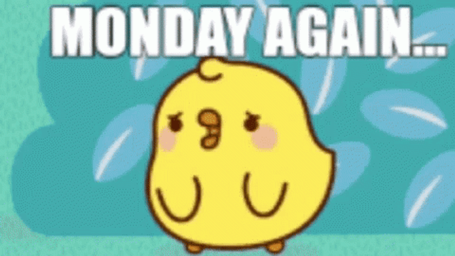 Adorable Cute Bird Sais Its Monday Monday Again GIF