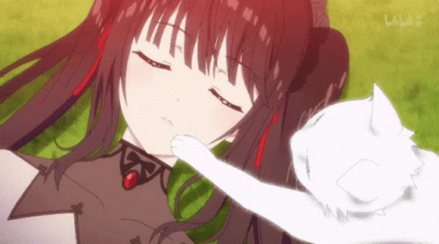Adorable Date A Live Sleeping Kurumi Cat GIF