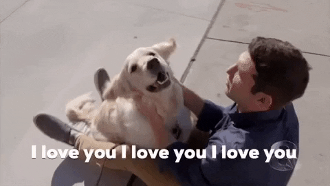 Adorable Dog Loves His Owner GIF