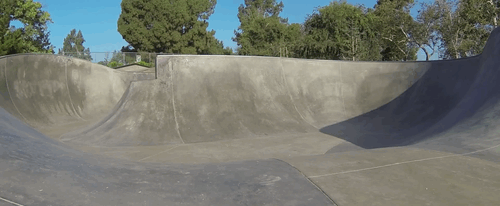 Adorable Dog Riding Skateboard On Skating Rink GIF