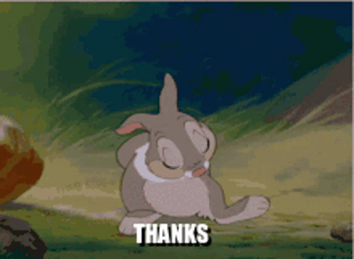 Adorable Gracias Rabbit Animation GIF