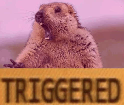 Adorable Groundhog Shaking Triggered Meme GIF