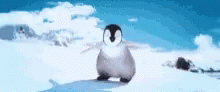 Adorable Happy Feet Ice Ice Baby GIF