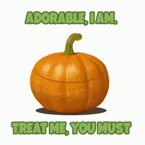 Adorable I Am Treat Me You Must Is Written On A Poster GIF