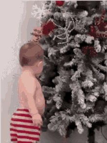 Adorable Kid Stare White Christmas Tree GIF