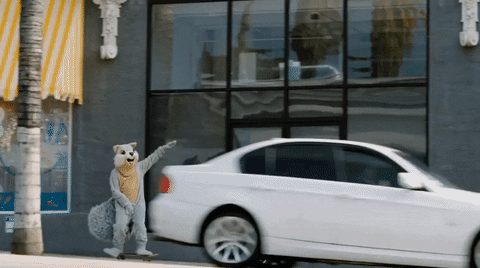 Adorable Mascot Happy Skateboard GIF