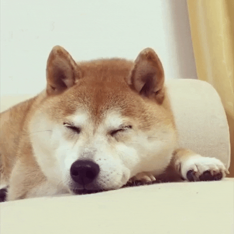 Adorable Sleepy Doge GIF