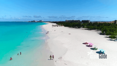 Aerial Aruba Island Beach Guide GIF