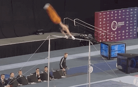 Aerial Hoop Pommel Horse GIF