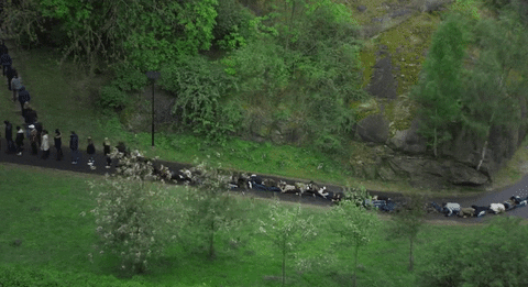 Aerial Shot People Falling Down Domino Effect GIF