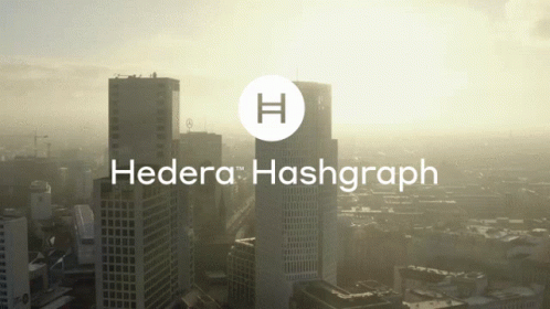 Aerial View Of City Hedera Hashgraph GIF