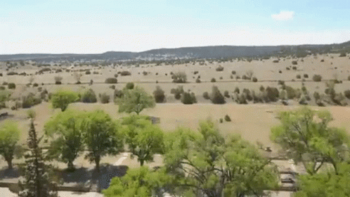 Aerial View of Desert Landscape With Trees
