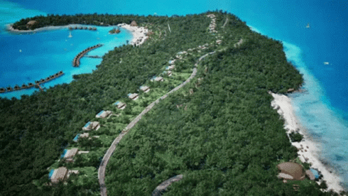 Aerial View of Tropical Island with Trees