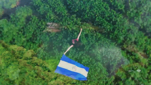 Aerial View Person Holding Flag in Field