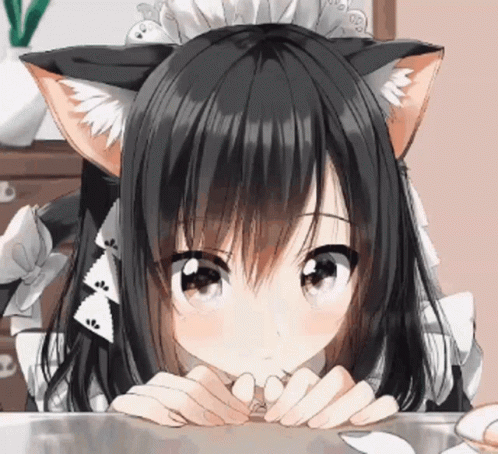 Aesthetic Anime Girl Cute Neko GIF