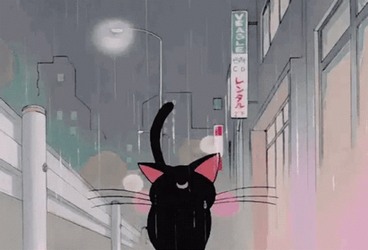 Aesthetic Anime Luna Cat Rain GIF 