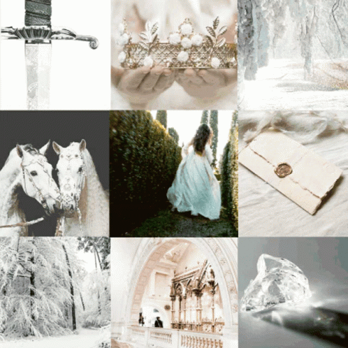 Aesthetic Assorted Wedding Pictures GIF