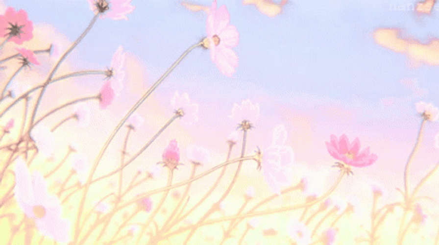 Aesthetic Background Pink Flower GIF