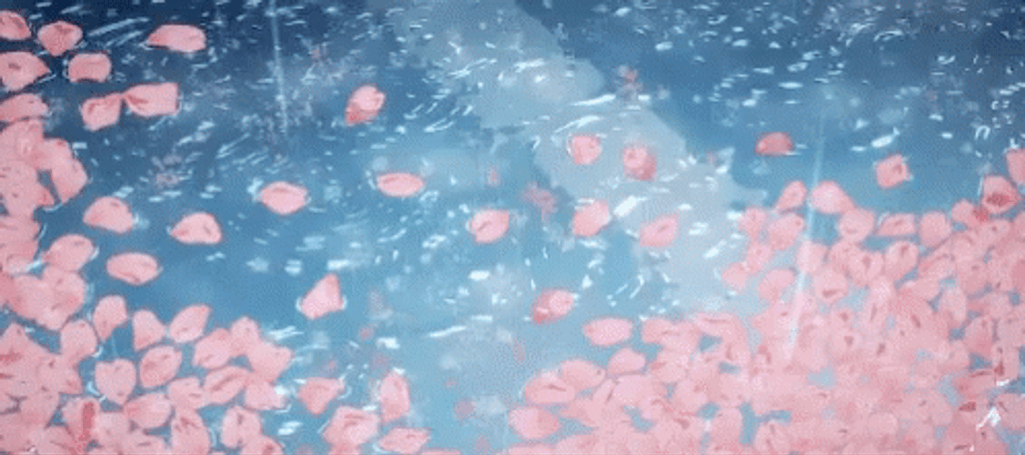 Aesthetic Background Raining Cherry Blossom GIF