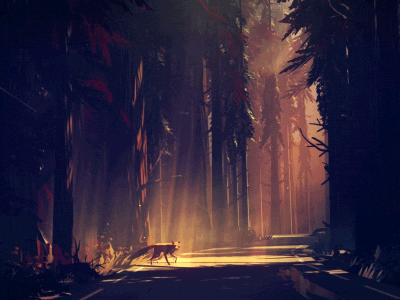 Aesthetic Forest And Fox Animation GIF