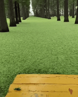 Aesthetic Forest Grass GIF
