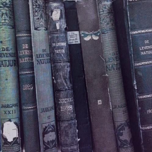 Aesthetic Minimalist Cottage Core GIF