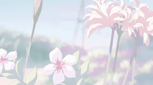 Aesthetic Minimalist Flowers GIF
