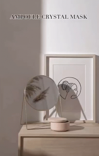 Aesthetic Minimalist Room Mirror With Frame GIF