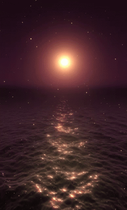 Aesthetic Ocean Sunset GIF